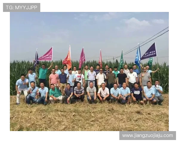 FPX重塑辉煌之路：从传统强队到全新战术体系的探索与挑战