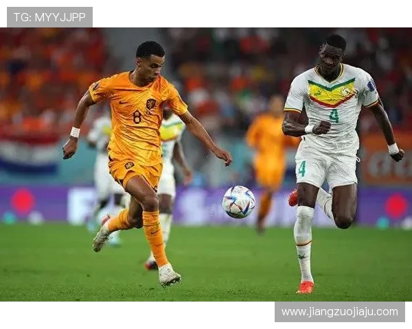 上海网球队在世界杯积分榜上以51分稳居第一名展现强劲实力