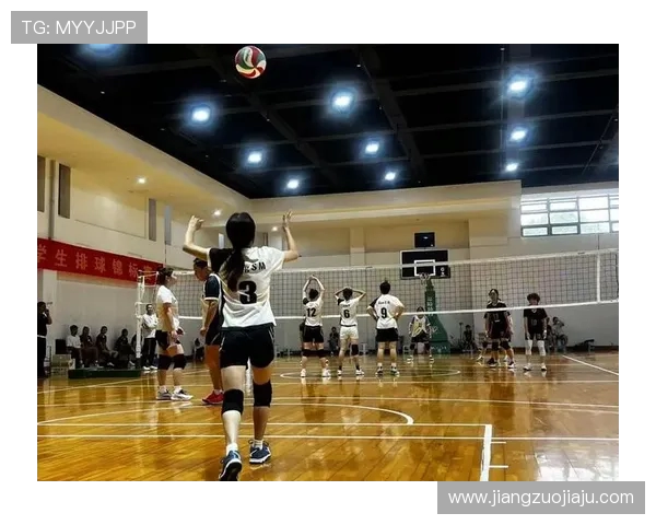 广州排球队的节奏与魅力探索：排球运动的热情与团队精神