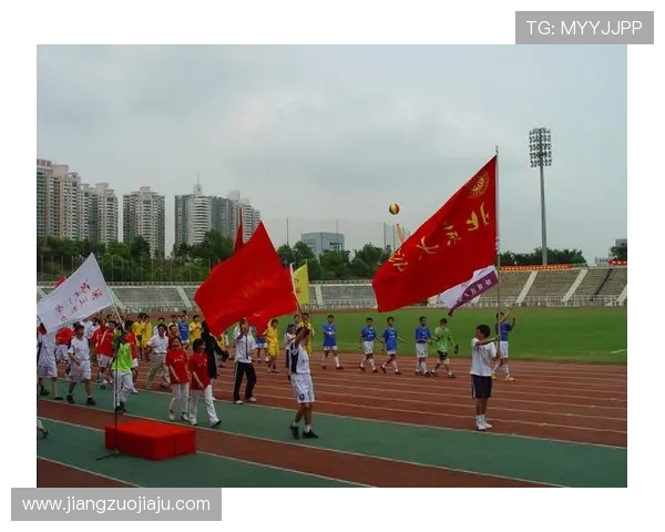 深圳极限运动队的运营模式与发展趋势深度解析