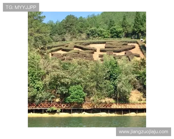 罗凯文的成长之路：从普通少年到卓越领袖的奋斗历程与心路历程