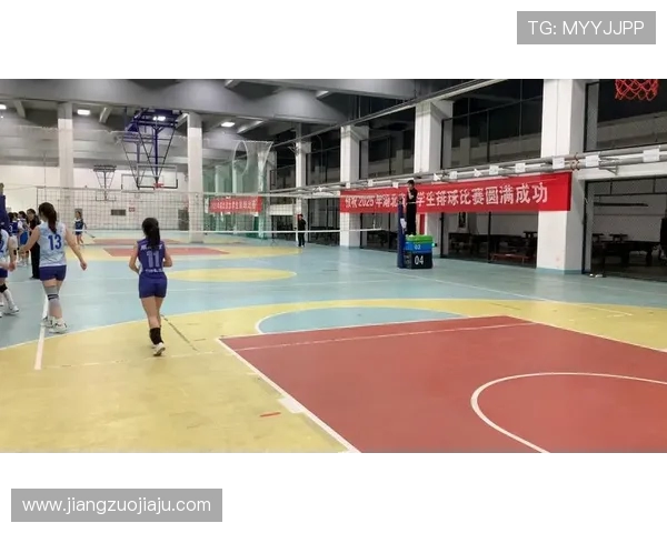 武汉排球队的节奏揭秘：深度解析排球运动的魅力与挑战